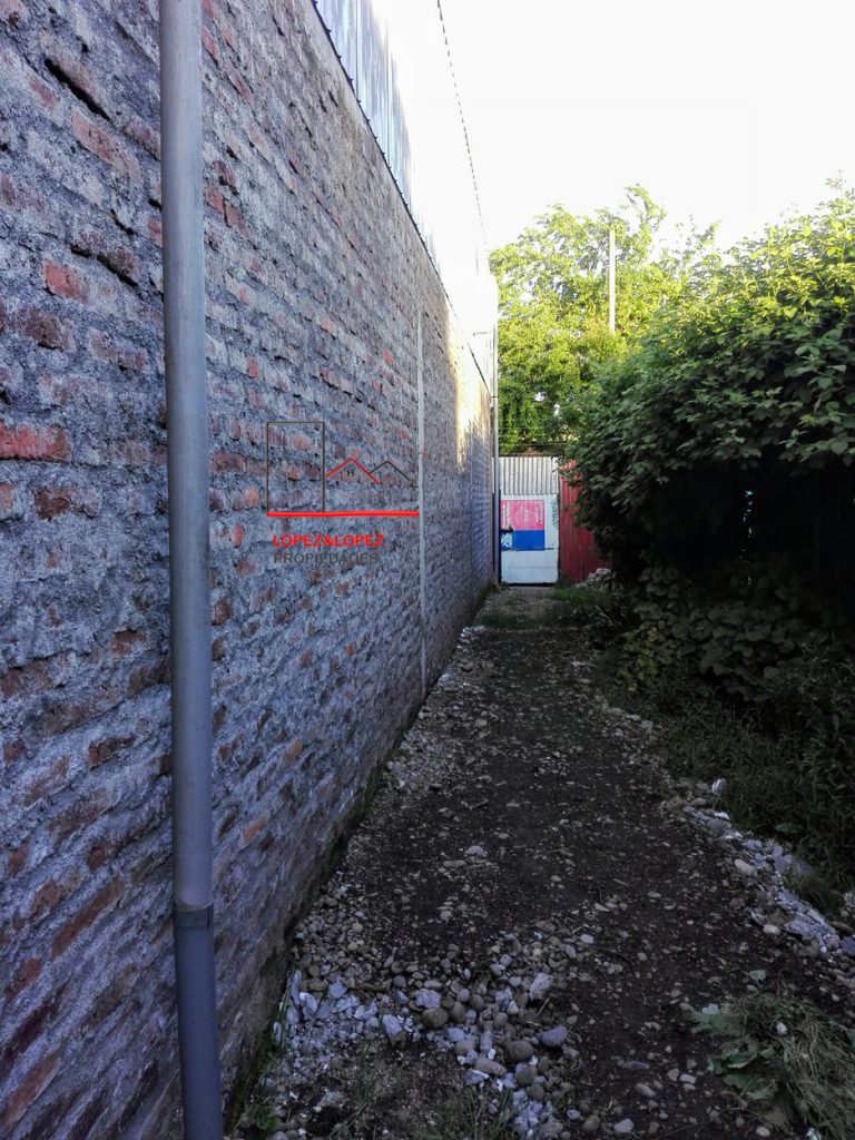Bodega-Foto-4